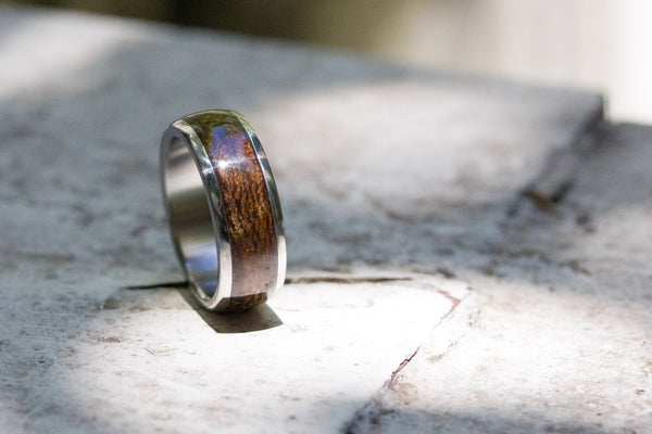 Titanium and cocobolo bentwood ring (00528_8N)